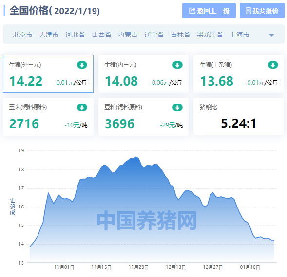 全国生猪价格涨跌表｜2022年1月19日，明日猪价跌不动了