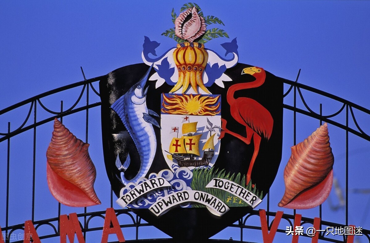 海螺共和国国旗图片