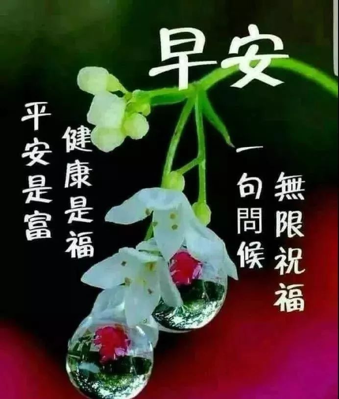 五月周末早上好问候语图片，漂亮早安问候语美图图片