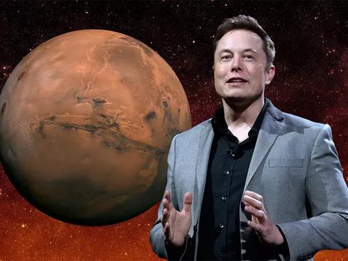 同样姓马，两匹马为什么会有如此大区别？