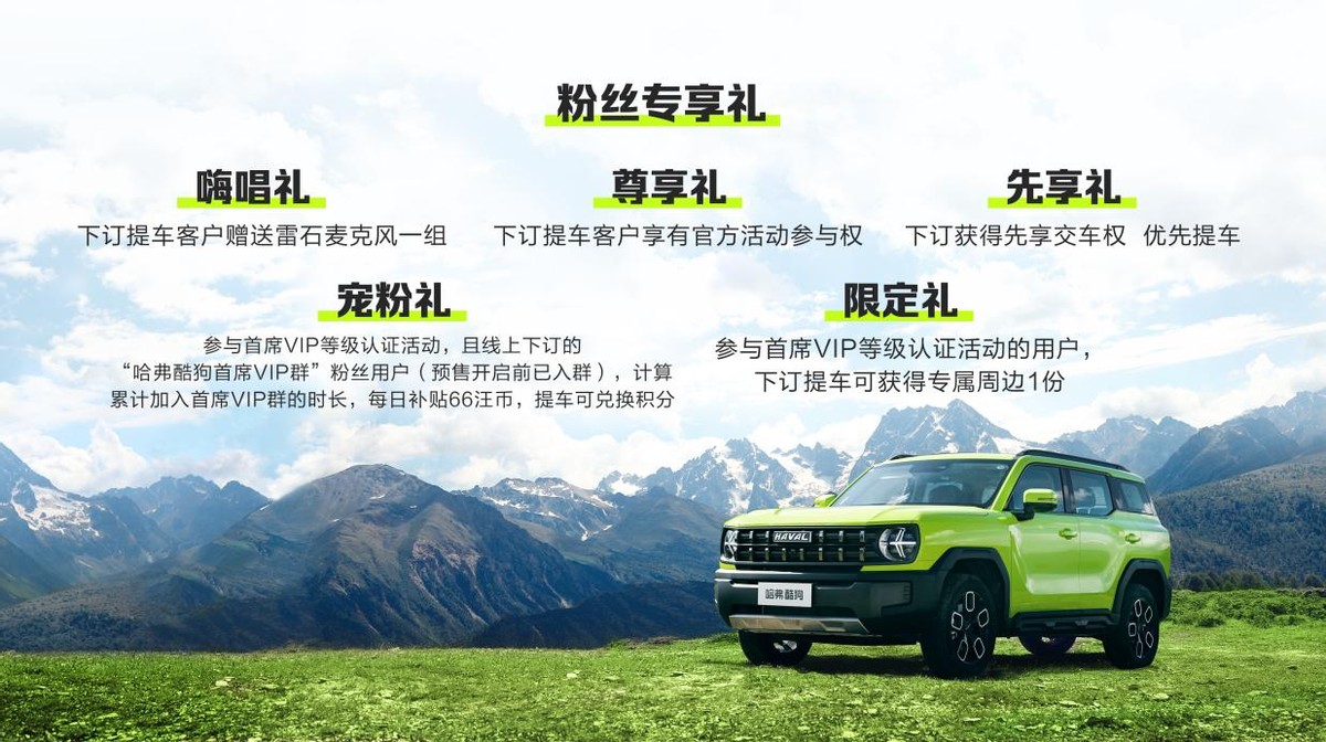 大河报汽车网