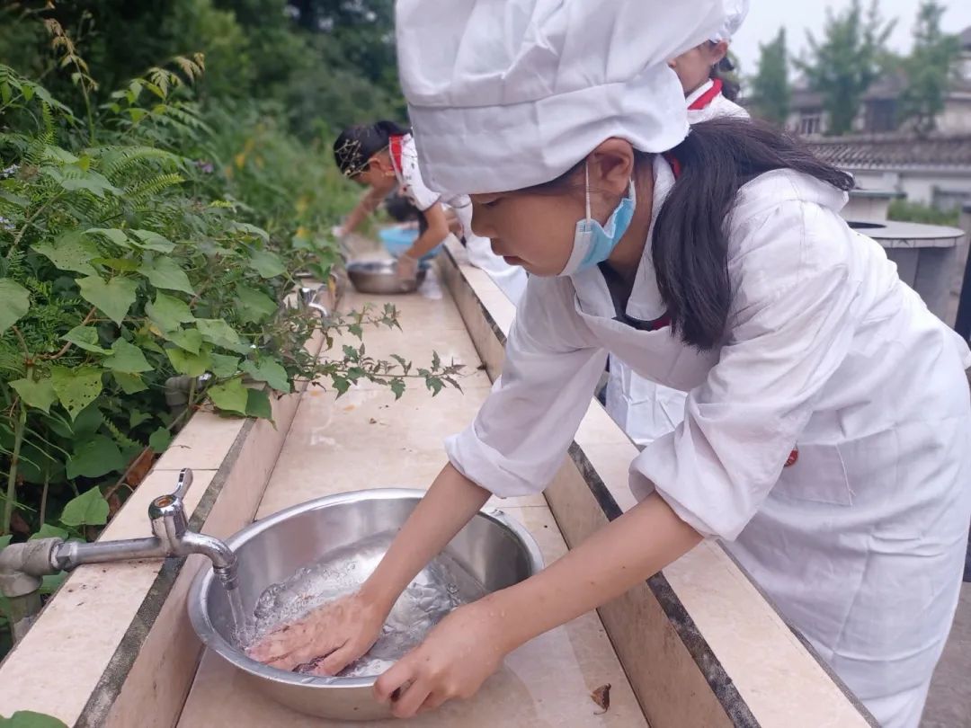 劳动中收获 劳动中成长｜大林小学举办第十七周劳动教育研讨活动