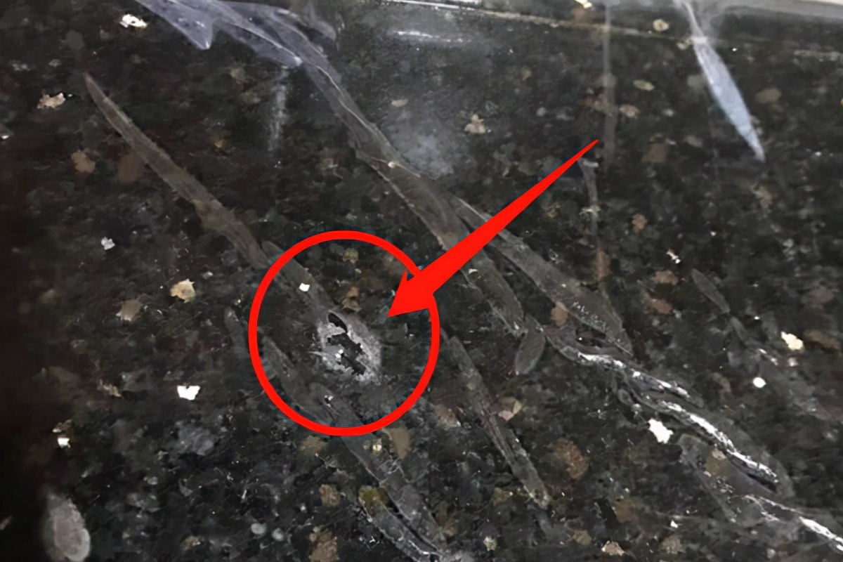 618后，用真实体验感告诉你不值得入手8件神器，千万别交智商税了