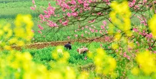 关于春天的优美诗意句子，描写春暖花开唯美文案配图精选素材