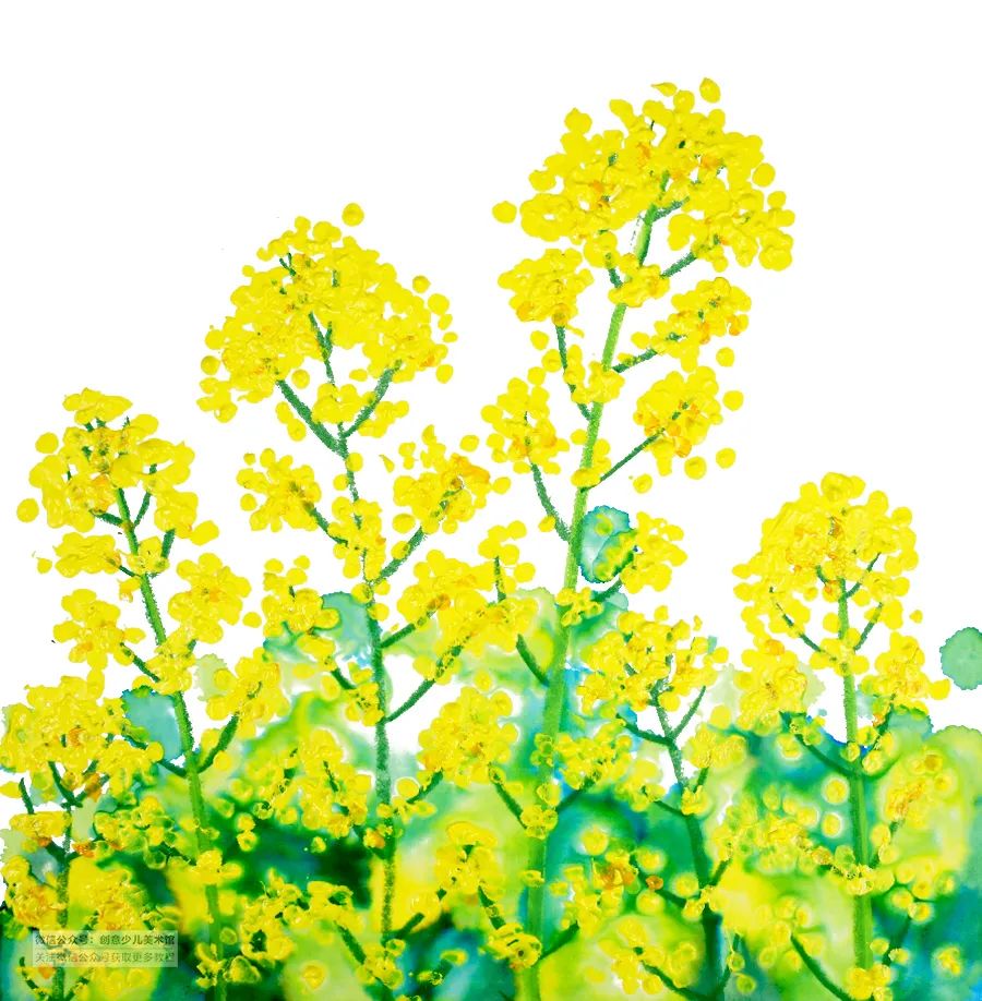 通过深浅不同黄色的点体现出油菜花明亮鲜艳的色彩还可以用轻粘土捏出