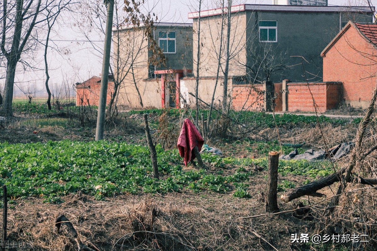 夢魘是什么意思,夢魘是什么意思王者榮耀