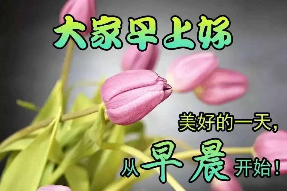 微信精选唯美早上好祝福图片，美好的清晨朋友们早上好图片