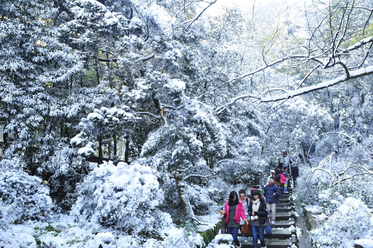 推荐重庆的8个玩雪的好去处，雪景更是一绝！你心动了吗