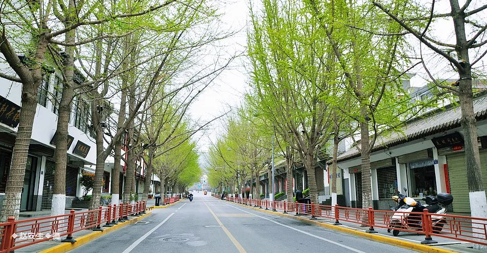 疫情笼罩下的秦州城（组图）