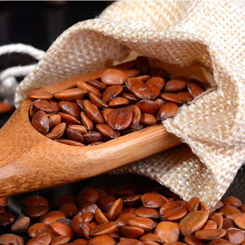 建議中老年人，別捨不得花錢，這5種美食經常吃，補充營養身體棒