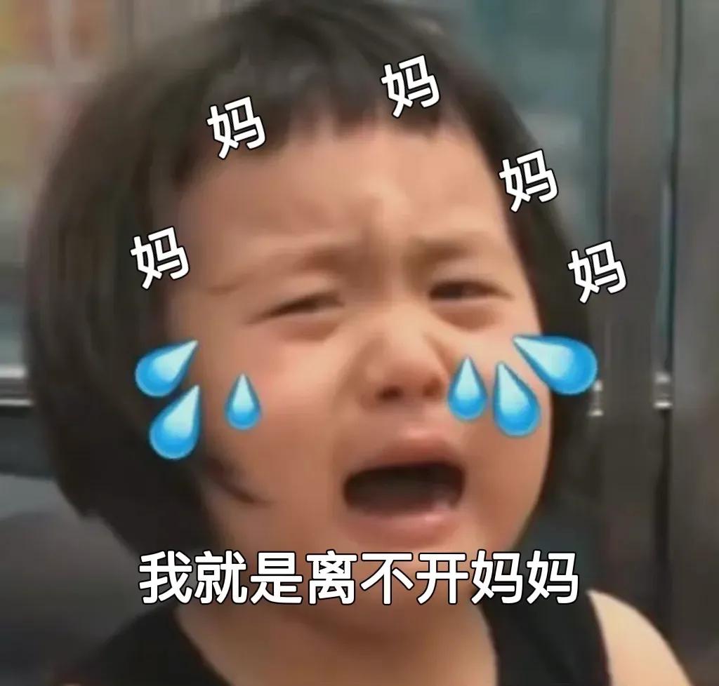 可爱表情包  有人偷小孩啦