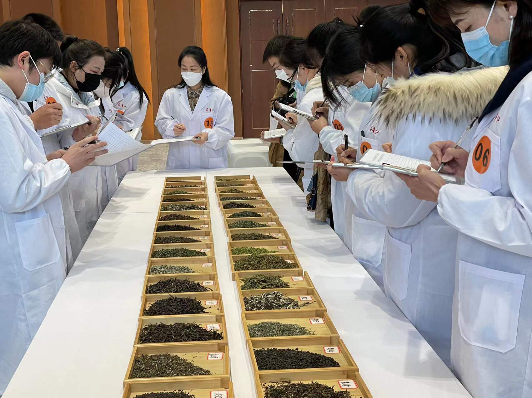 云南打造千亿级云茶产业，呼唤更多优秀评茶员脱颖而出