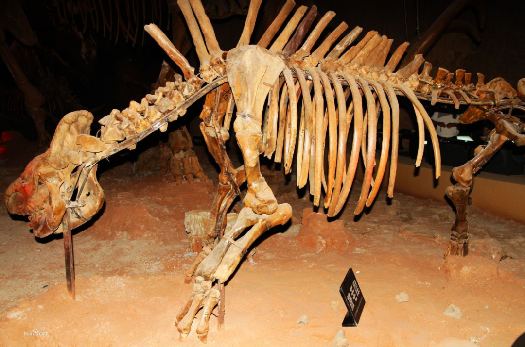 石油是古生物形成的？一个油田上亿吨石油，有那么多古代生物吗？