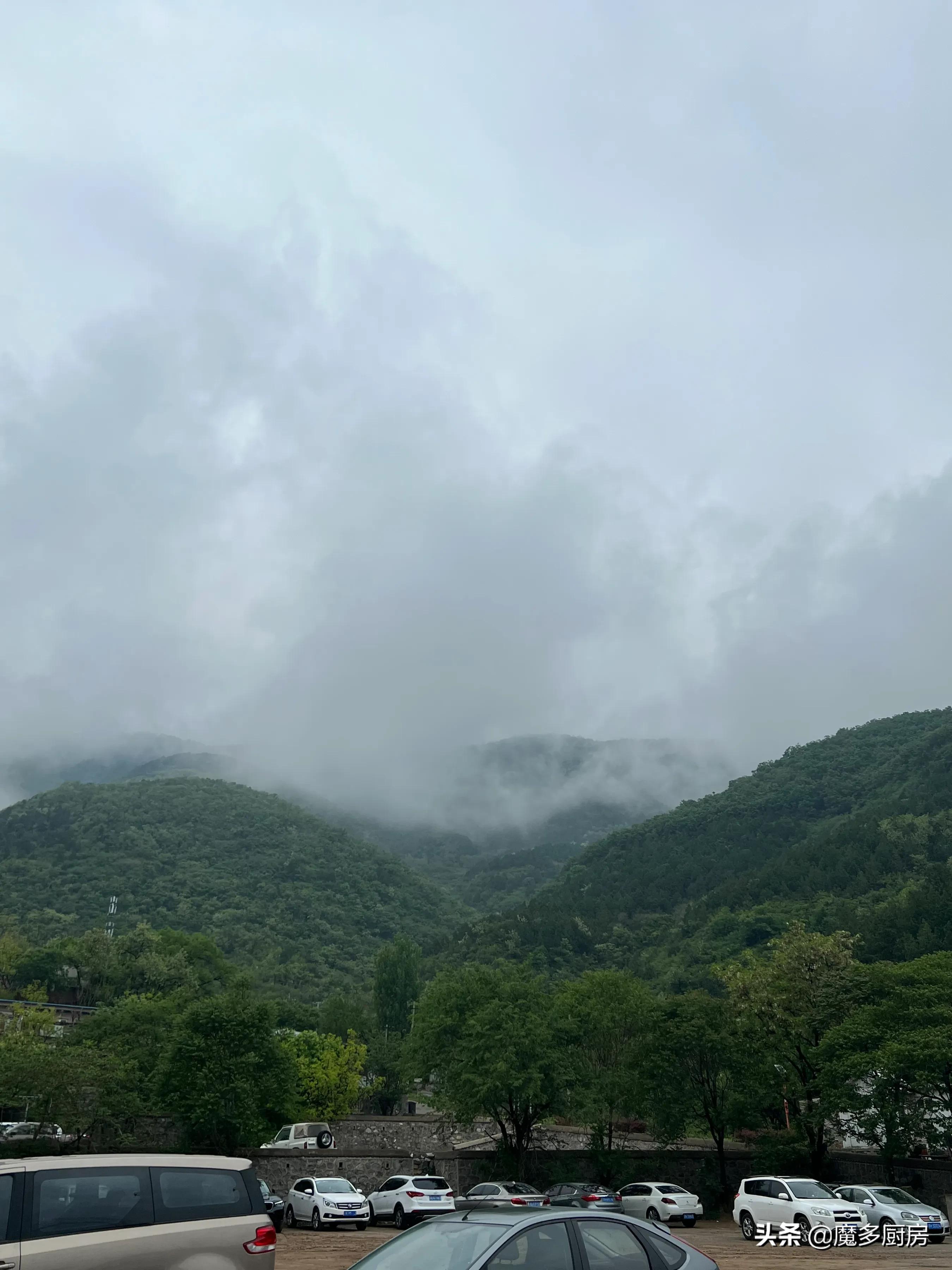 北京香山植物园户外记录，带孩子们雨中山野徒步，感受自然乐趣