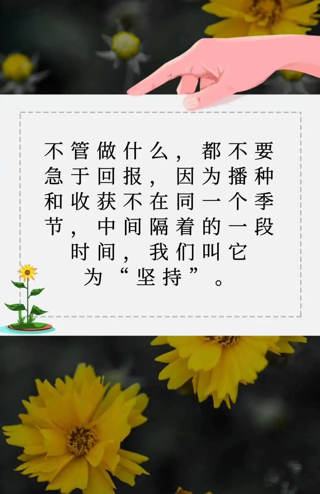 早安问候：你热爱生活，生活就爱你，早安