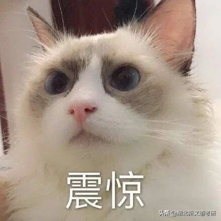 23考研别错过！这些院校有2年制专硕，很稀有