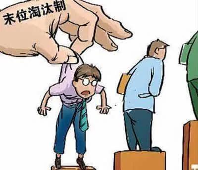 感覺被社會被淘汰了！自媒體行業！收入高，我卻一個都勝任不了