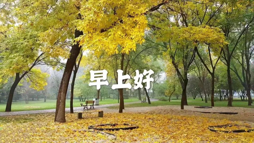 新的一周朋友圈阳光温馨正能量励志心语 让我们的今天从微笑开始图片