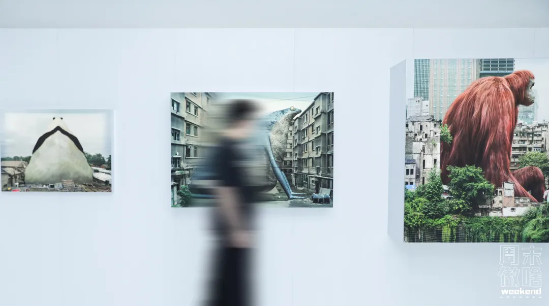 2022第一场艺术展!Burberry携手年轻艺术家登陆TX淮海仅限10天