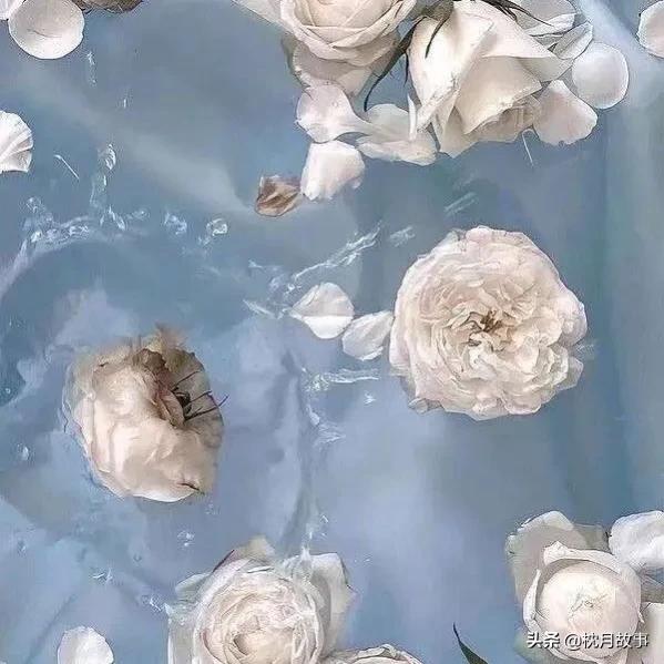 句子库‖人生的不可测，在任何时候，都要抱着一份希望