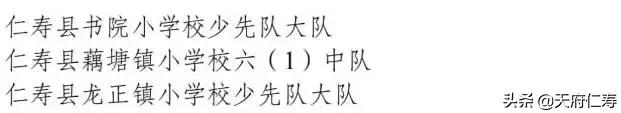 喜报！仁寿这些少先队个人和集体荣获省级表扬