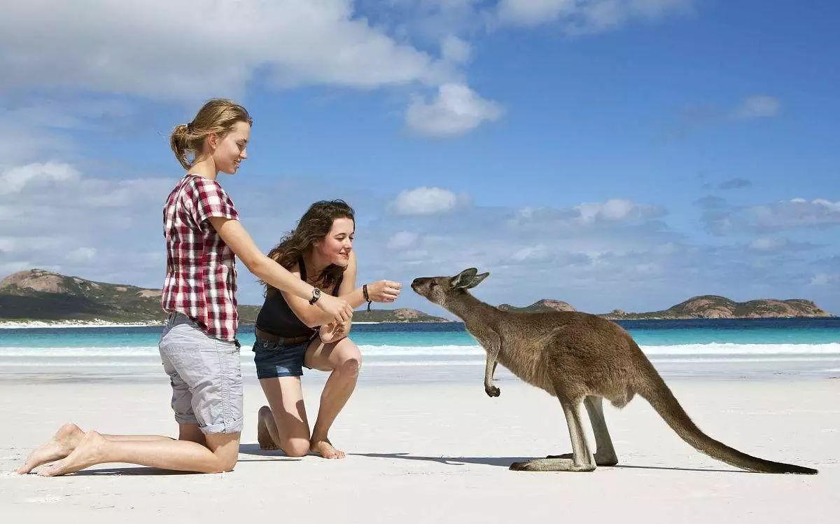 澳洲个人旅游签证,澳洲个人旅游签证需要什么条件