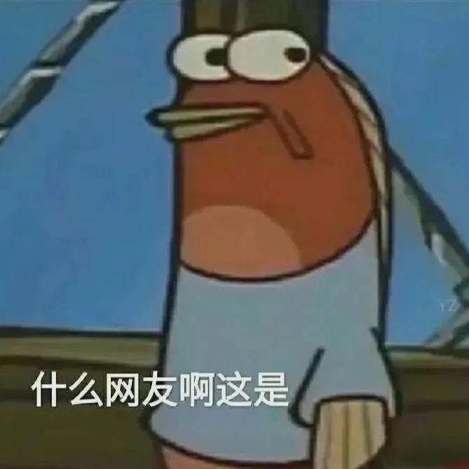 表情包什么网友啊这是