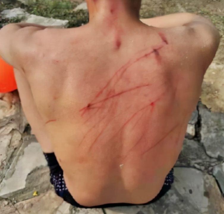 南京高校体育生下湖游泳，被湖中的黑天鹅“暴揍”，毫无还手之力