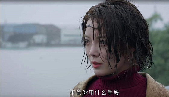 相逢时节：20年婚姻无爱无性，被仇恨摧毁满身污点，她才是最惨的
