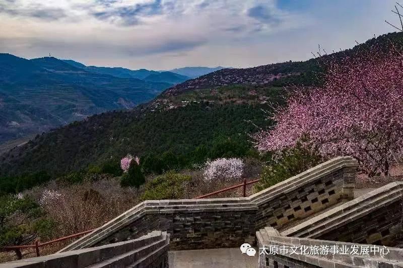 线上展览|“山河春意 锦绣太原——花的世界”主题摄影线上图片展（十六）