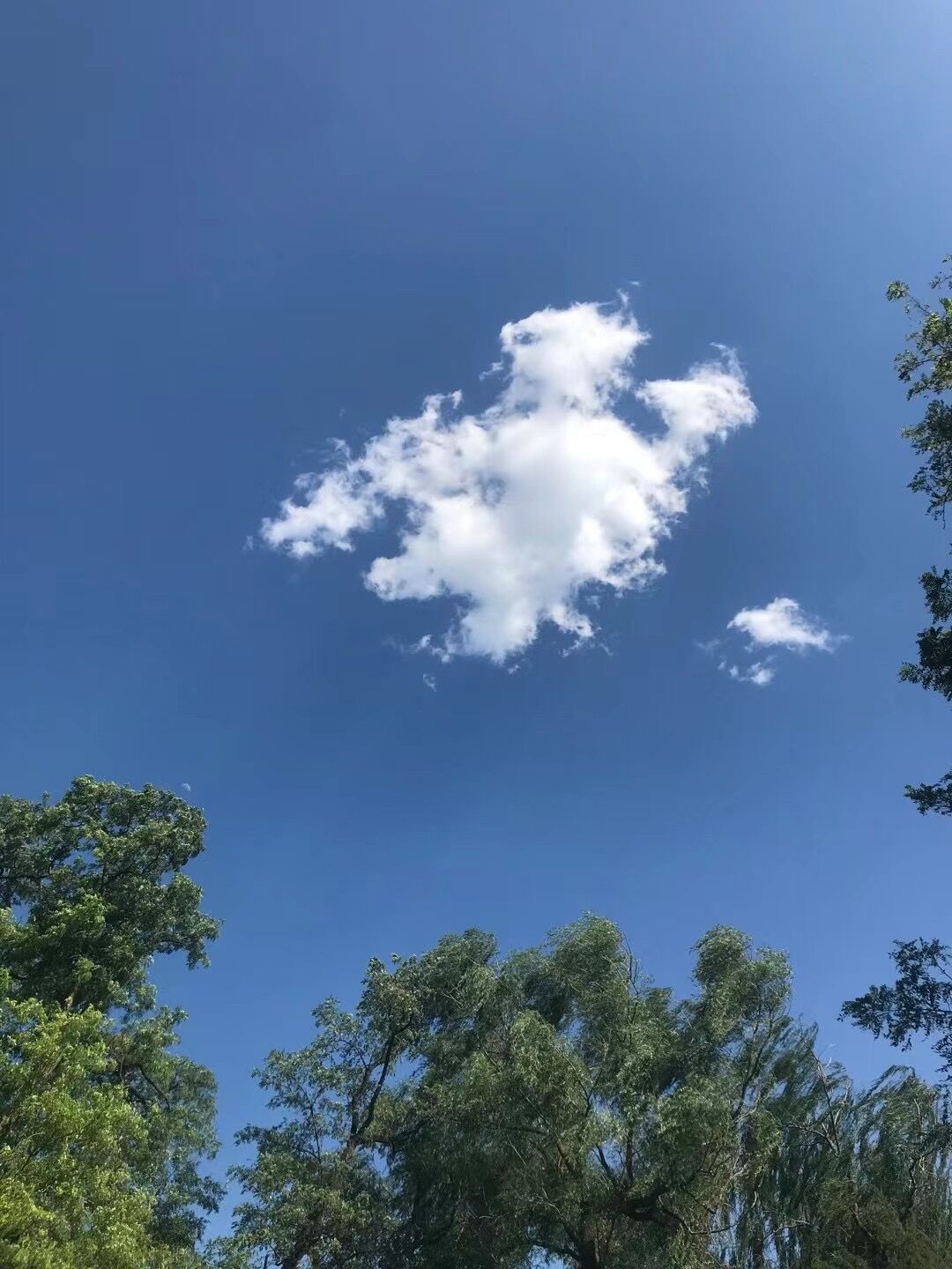 乐山乐水——正是一年风去处，占道京华夏至时