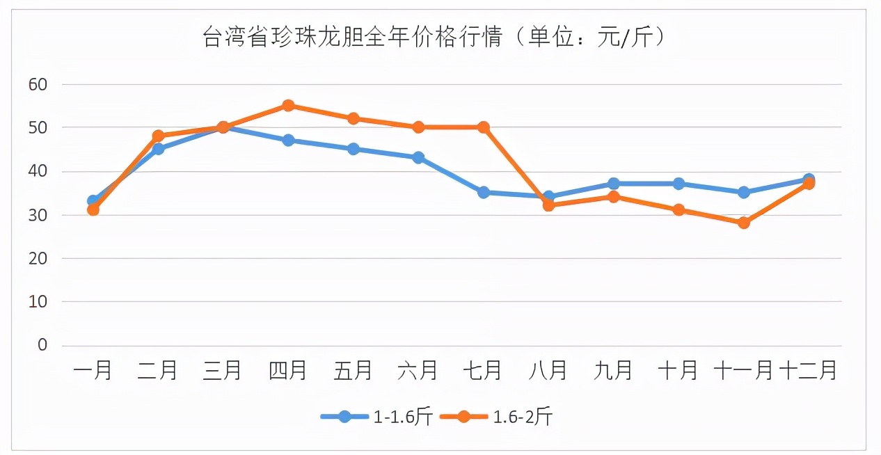 石斑魚多少錢一斤,石斑魚多少錢一斤市場價2022