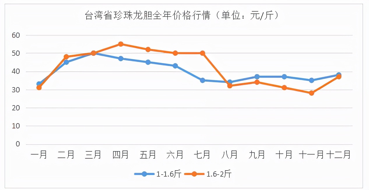 石斑鱼多少钱一斤,石斑鱼多少钱一斤市场价2022