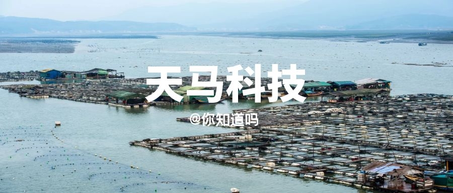 你知道吗｜天马科技全产业链是如何并购来的吗？