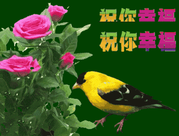 早上好最暖的问候语，平安健康是最真的祝福，懂得知足就会幸福图片