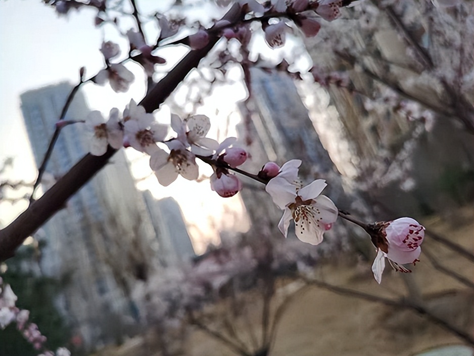 早上好，四月翩迁而至，愿你拥抱当下，不负年华