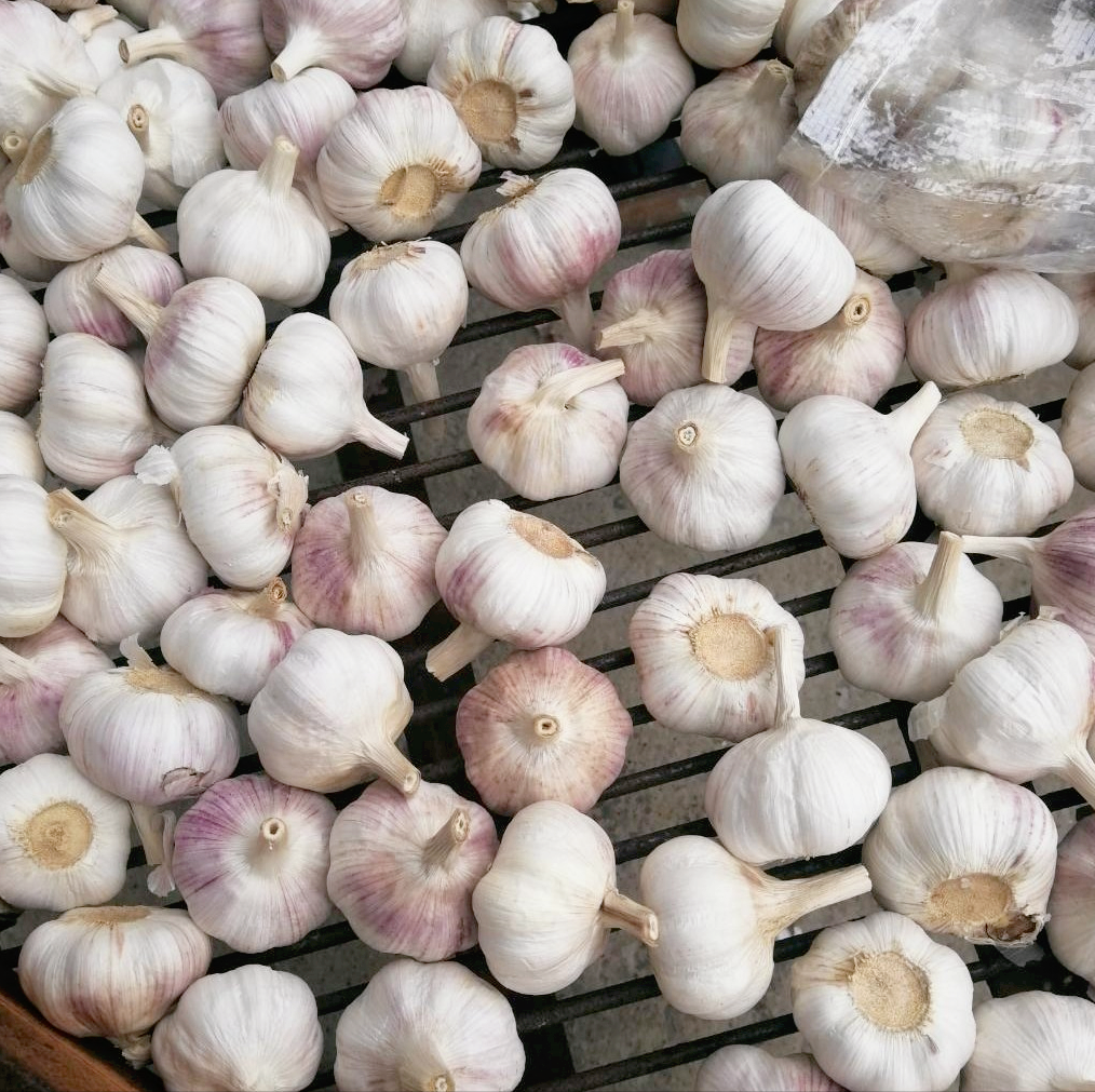 吃肉不吃蒜，营养减一半，大蒜是生吃好还是煮熟了吃好？以后别再说自己不懂了