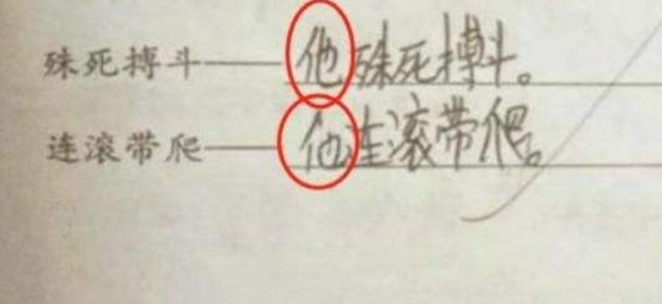 “超懒”小学生作业走红，明明写得很“敷衍”，却还被老师夸机智