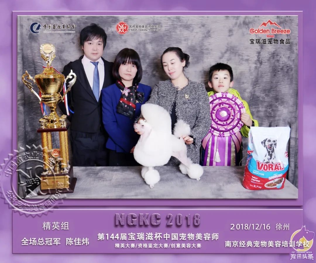 培养数万从业者，经典宠物美容陈佳炜：这是世界上最治愈的工作了