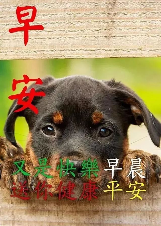 早上好朋友 创意早上好带字祝福图片精选 微笑挂嘴边、感恩在心间图片