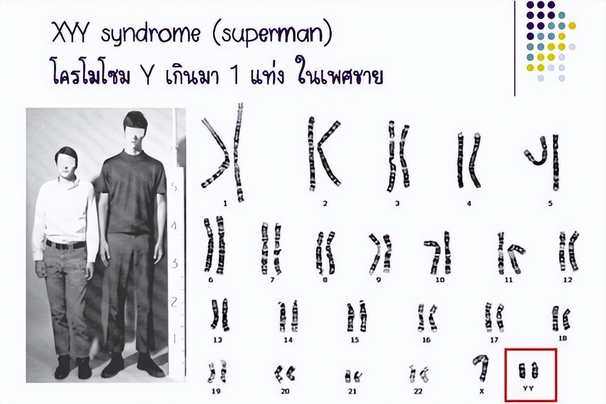 暴力行为是基因决定的吗？