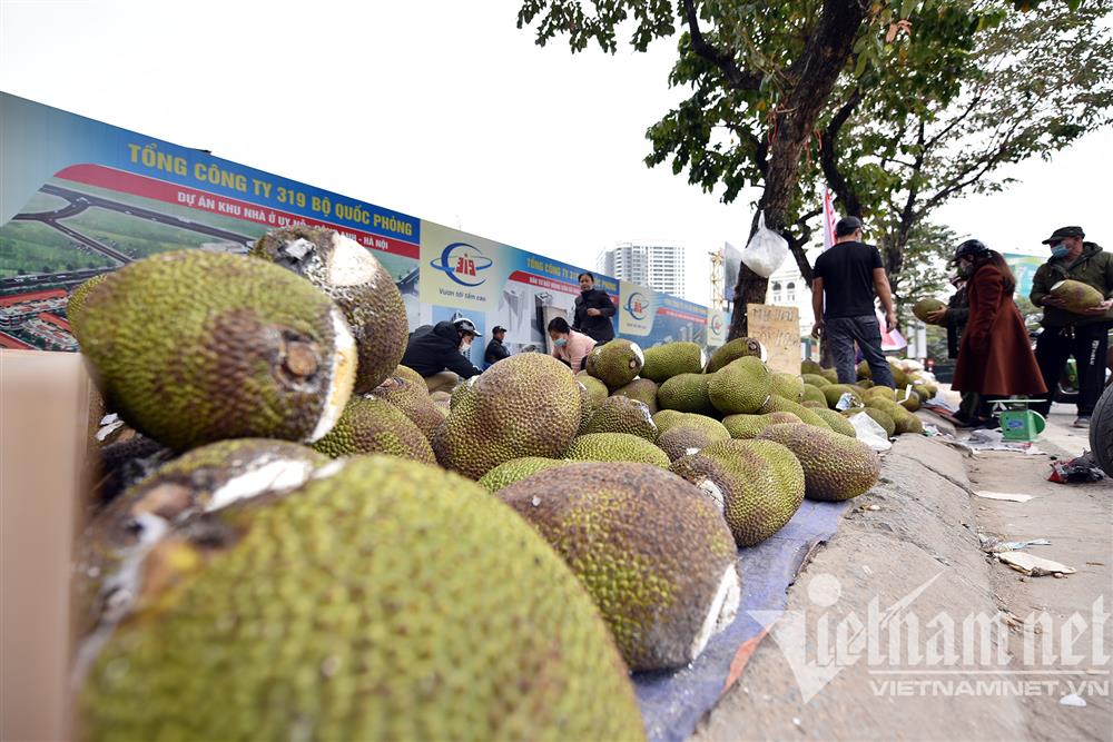 泰国菠萝蜜在越南马路边上大甩卖(只因没法出口到中国)
