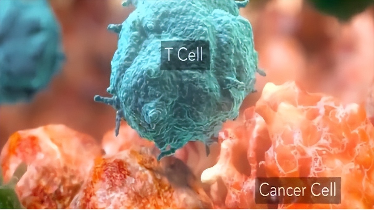 重大突破！首个国产“泛癌种”PD-1上市，覆盖肺癌胃癌等高发癌种
