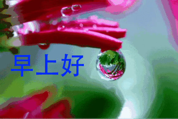 2022春天最新早上好问候早安祝福图片温馨带字 微笑不要钱却很值钱图片