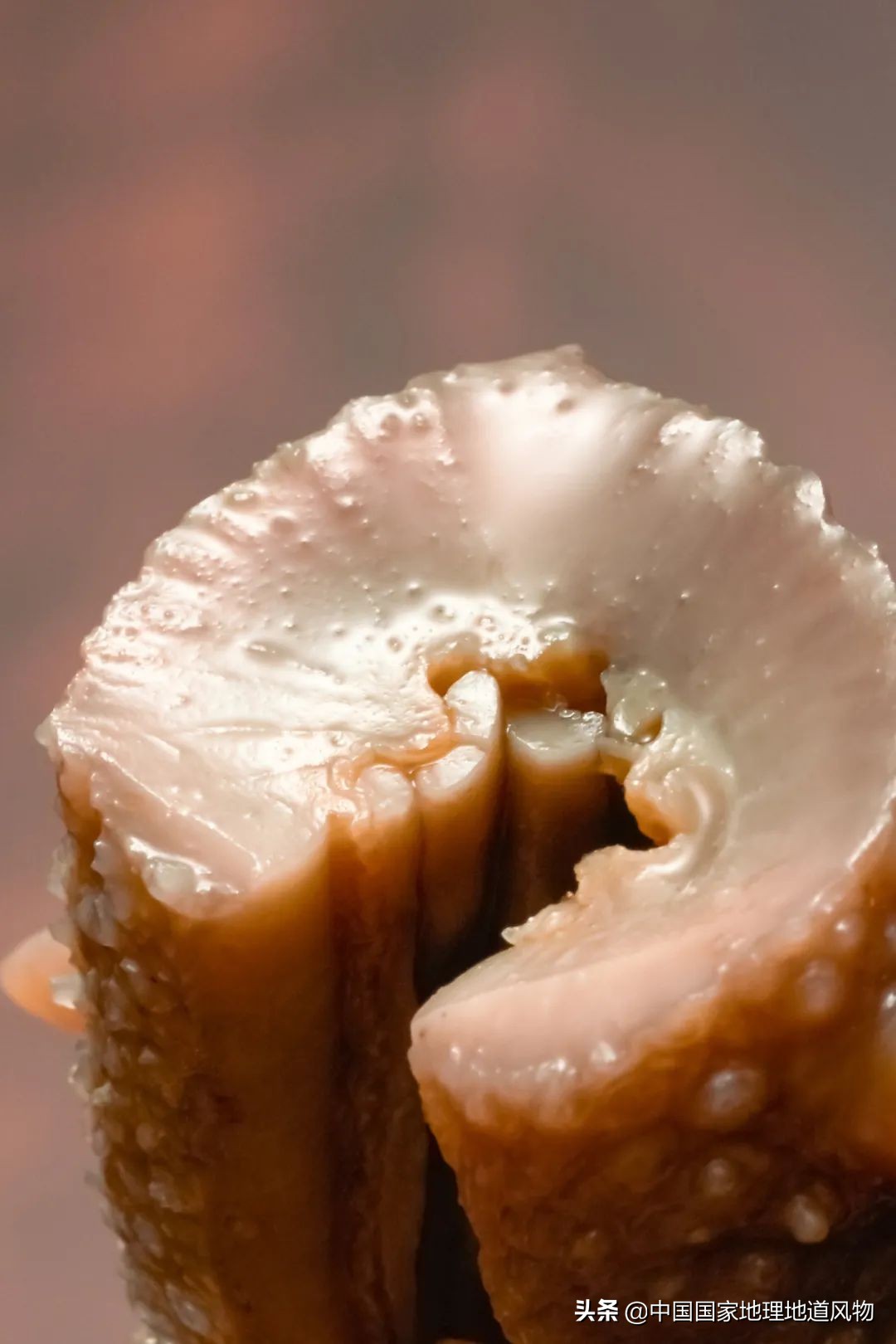 辽宁，被忽略的海鲜大省