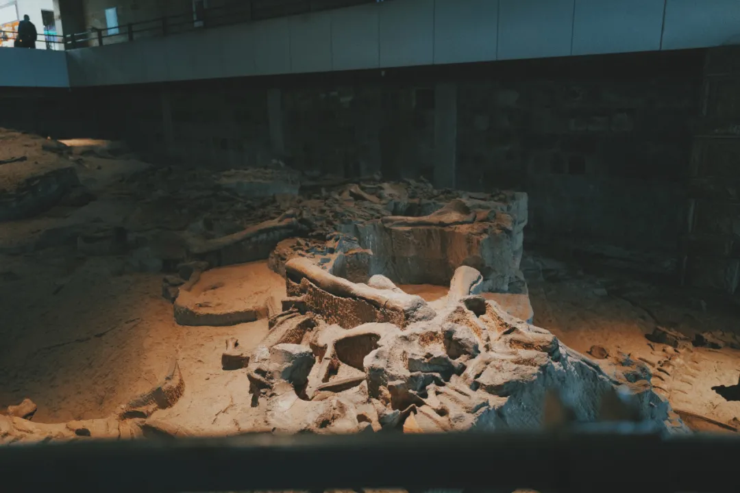 最近超火的盐帮菜之乡让我大开眼界，奇怪的知识又增加了