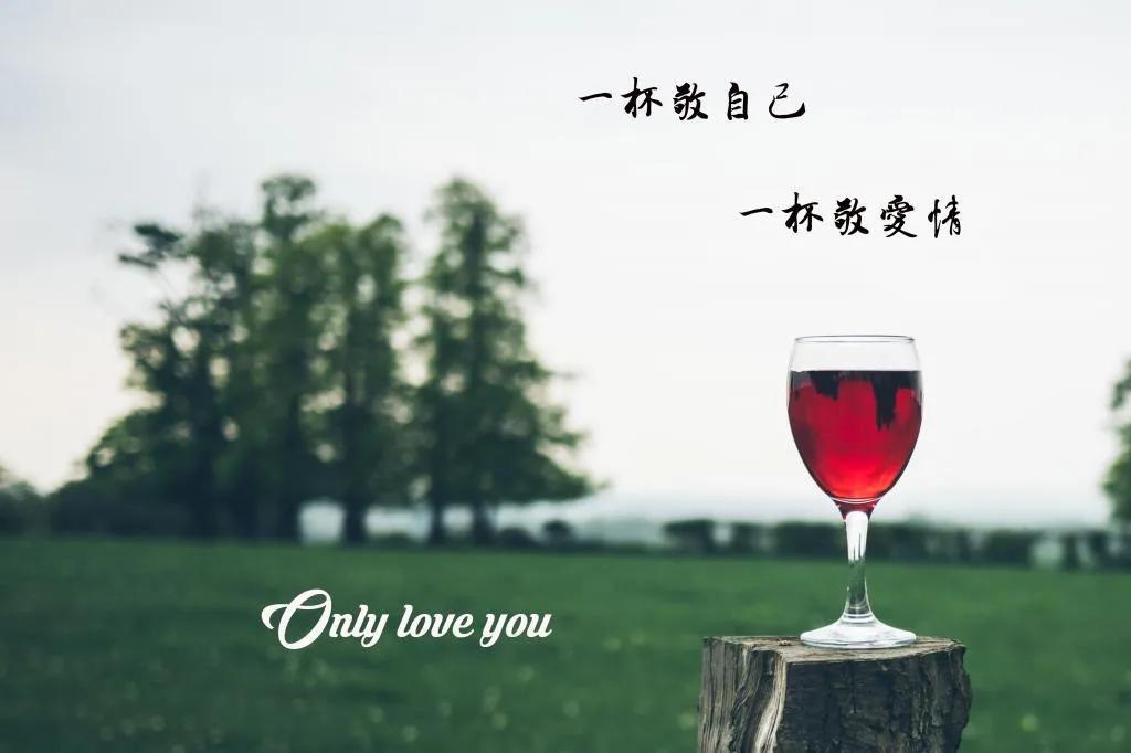 你结婚了，新娘不是我，从你的世界路过，最后还是成了你的过客