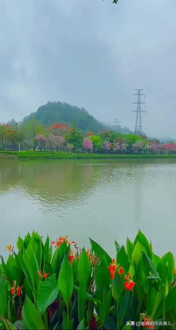 百花盛开，姹紫嫣红，赏心悦目，令人陶醉