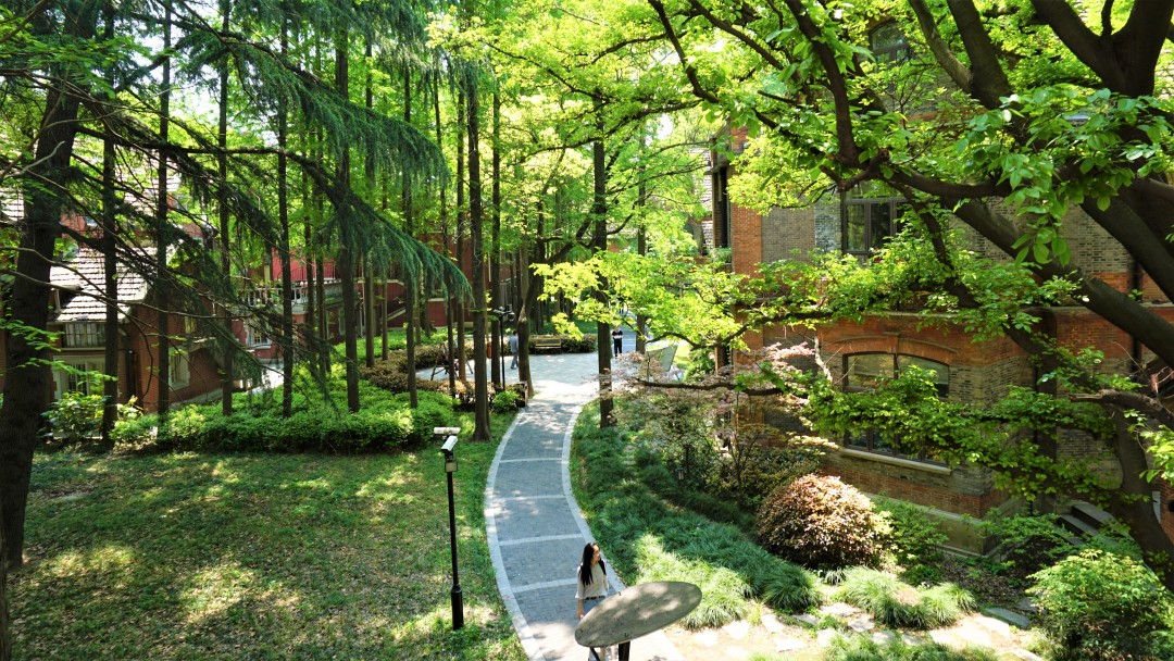 上海理工大学是魔都高校中的小确幸