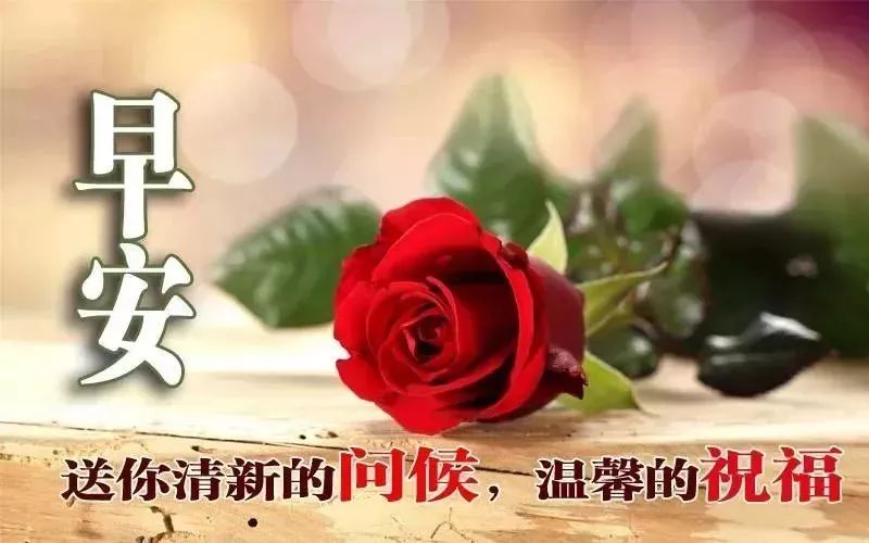 送给朋友早上好的吉祥祝福语 早安，幸福属于你，快乐倾向你图片